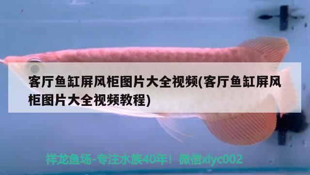 客廳魚缸屏風(fēng)柜圖片大全視頻(客廳魚缸屏風(fēng)柜圖片大全視頻教程)