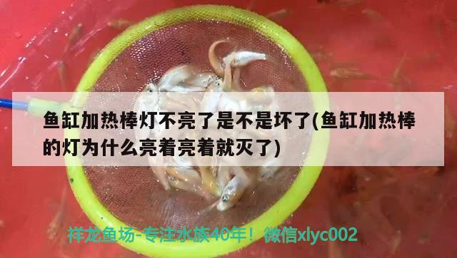 魚缸加熱棒燈不亮了是不是壞了(魚缸加熱棒的燈為什么亮著亮著就滅了)