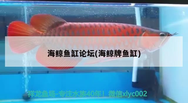 海鯨魚(yú)缸論壇(海鯨牌魚(yú)缸) 潛水泵