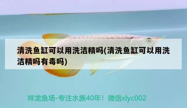 清洗魚缸可以用洗潔精嗎(清洗魚缸可以用洗潔精嗎有毒嗎) 羽毛刀魚苗