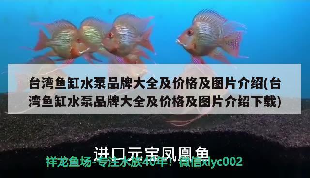 臺灣魚缸水泵品牌大全及價格及圖片介紹(臺灣魚缸水泵品牌大全及價格及圖片介紹下載) 魚缸水泵