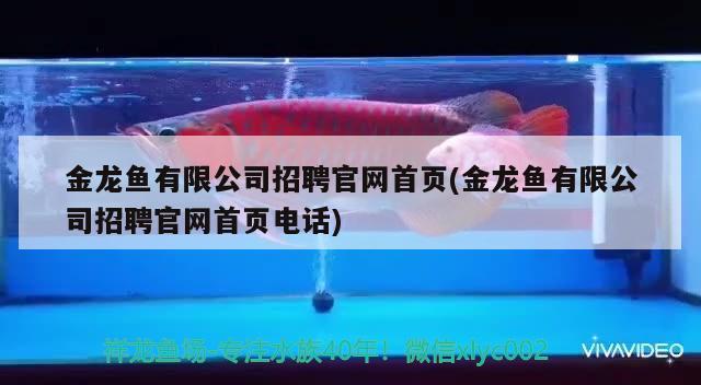 金龍魚有限公司招聘官網(wǎng)首頁(金龍魚有限公司招聘官網(wǎng)首頁電話) 綠皮皇冠豹魚