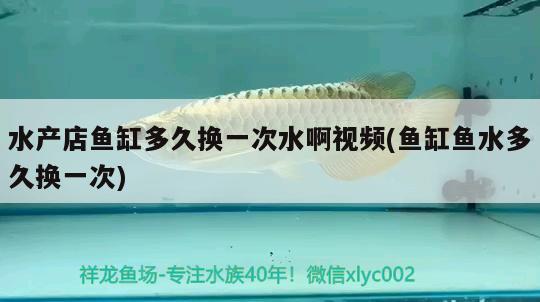 水產(chǎn)店魚缸多久換一次水啊視頻(魚缸魚水多久換一次) 水族雜談