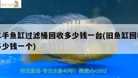 二手魚缸過濾桶回收多少錢一臺(舊魚缸回收多少錢一個) 圣菲埃及魚