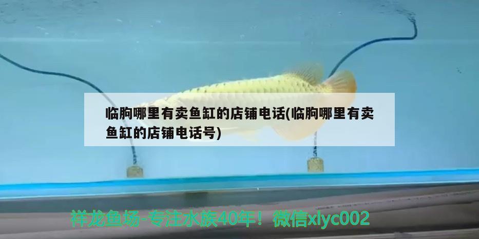 臨朐哪里有賣魚缸的店鋪電話(臨朐哪里有賣魚缸的店鋪電話號)