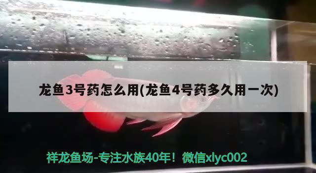 龍魚3號藥怎么用(龍魚4號藥多久用一次) 財神鸚鵡魚