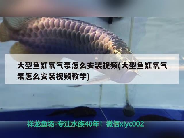 大型魚缸氧氣泵怎么安裝視頻(大型魚缸氧氣泵怎么安裝視頻教學(xué))