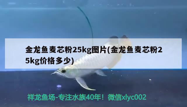 金龍魚麥芯粉25kg圖片(金龍魚麥芯粉25kg價(jià)格多少)