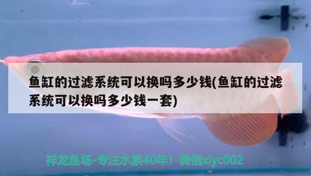 魚(yú)缸的過(guò)濾系統(tǒng)可以換嗎多少錢(qián)(魚(yú)缸的過(guò)濾系統(tǒng)可以換嗎多少錢(qián)一套) 南美異形觀賞魚(yú)