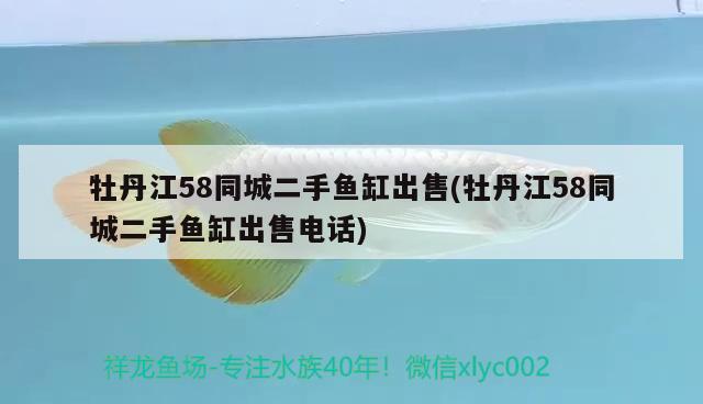 牡丹江58同城二手魚缸出售(牡丹江58同城二手魚缸出售電話) 觀賞龜/鱉飼料