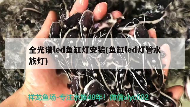 全光譜led魚缸燈安裝(魚缸led燈管水族燈) 祥龍龍魚魚糧