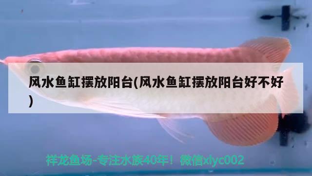 風(fēng)水魚缸擺放陽臺(tái)(風(fēng)水魚缸擺放陽臺(tái)好不好) 魚缸風(fēng)水