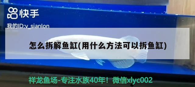 怎么拆解魚缸(用什么方法可以拆魚缸) 養(yǎng)魚知識 第1張