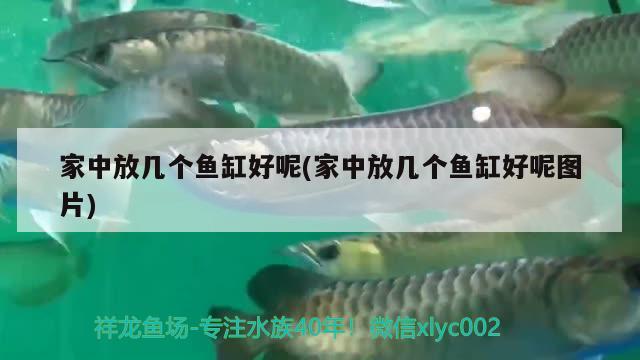 家中放幾個魚缸好呢(家中放幾個魚缸好呢圖片)