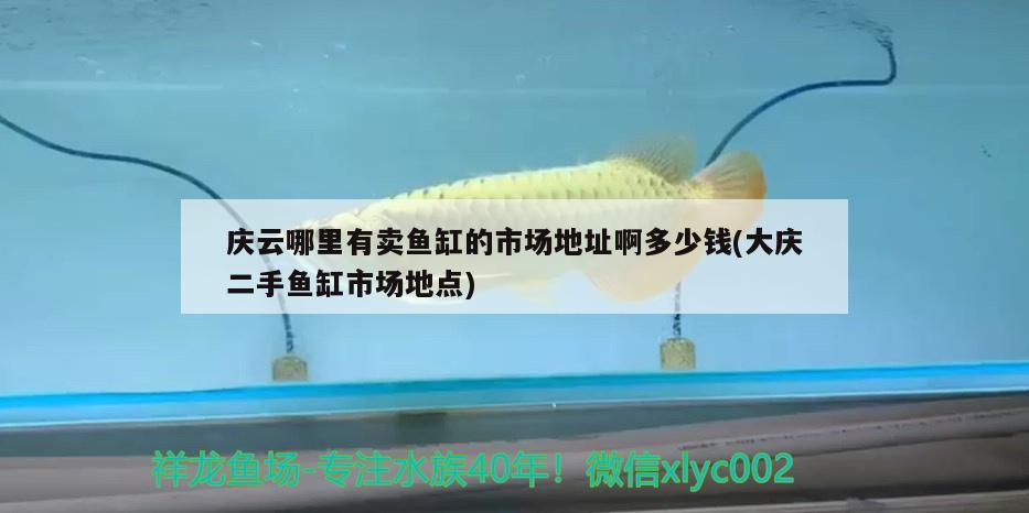 慶云哪里有賣魚缸的市場(chǎng)地址啊多少錢(大慶二手魚缸市場(chǎng)地點(diǎn)) 雙線側(cè)魚