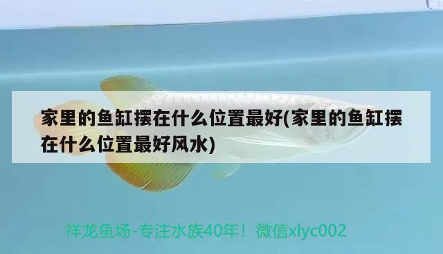 家里的魚缸擺在什么位置最好(家里的魚缸擺在什么位置最好風(fēng)水)