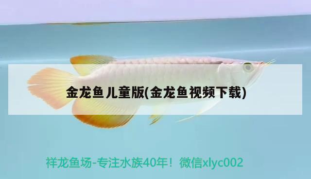 金龍魚兒童版(金龍魚視頻下載)