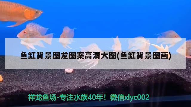 魚缸背景圖龍圖案高清大圖(魚缸背景圖畫) iwish愛唯希品牌魚缸 第2張