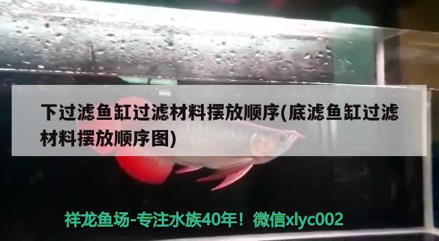 下過濾魚缸過濾材料擺放順序(底濾魚缸過濾材料擺放順序圖) 黑白雙星