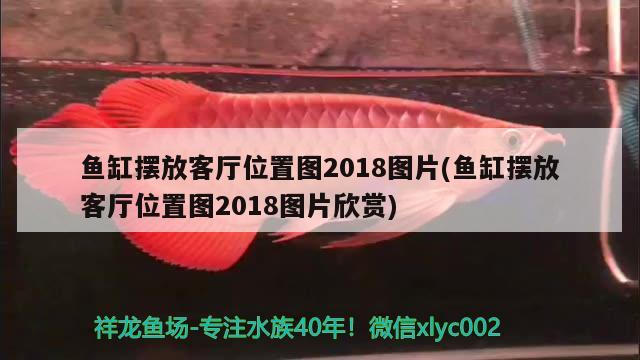 魚缸擺放客廳位置圖2018圖片(魚缸擺放客廳位置圖2018圖片欣賞)