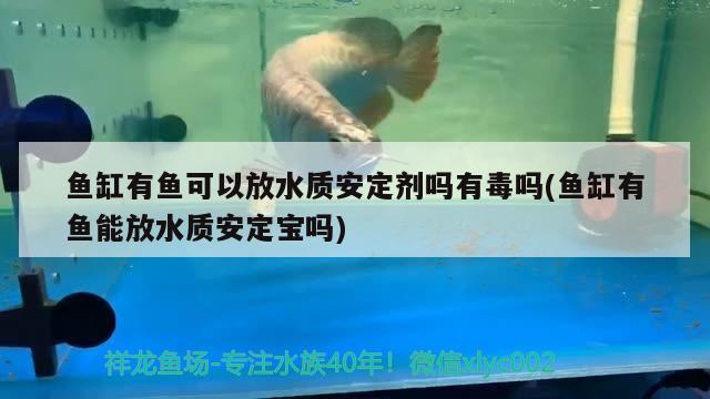 魚缸有魚可以放水質(zhì)安定劑嗎有毒嗎(魚缸有魚能放水質(zhì)安定寶嗎)