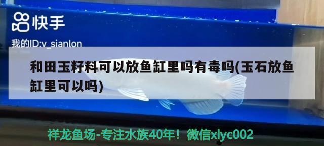 和田玉籽料可以放魚缸里嗎有毒嗎(玉石放魚缸里可以嗎) 三色錦鯉魚