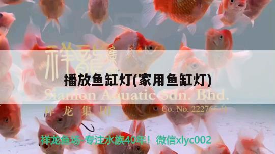 播放魚缸燈(家用魚缸燈)