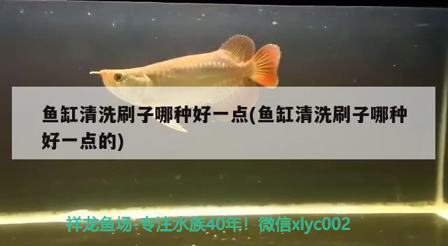 魚(yú)缸清洗刷子哪種好一點(diǎn)(魚(yú)缸清洗刷子哪種好一點(diǎn)的) 南美異形觀賞魚(yú)