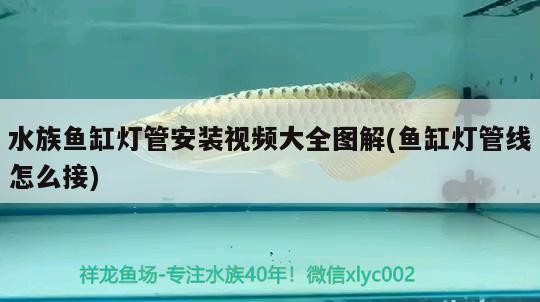 水族魚缸燈管安裝視頻大全圖解(魚缸燈管線怎么接) 祥龍魚場品牌產(chǎn)品