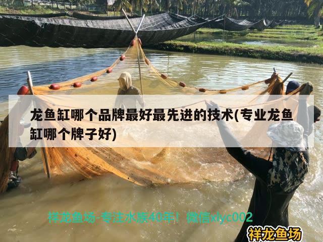 龍魚缸哪個(gè)品牌最好最先進(jìn)的技術(shù)(專業(yè)龍魚缸哪個(gè)牌子好)