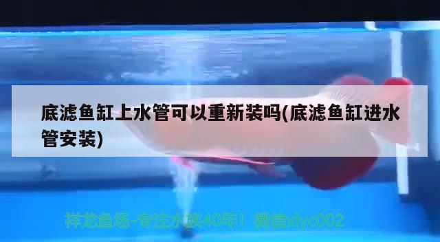 底濾魚缸上水管可以重新裝嗎(底濾魚缸進水管安裝)