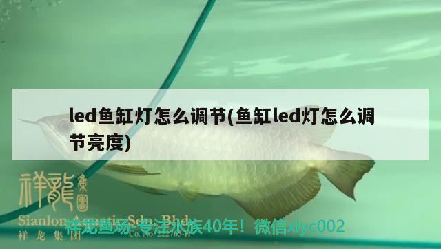 led魚缸燈怎么調(diào)節(jié)(魚缸led燈怎么調(diào)節(jié)亮度) 熱帶魚魚苗批發(fā)