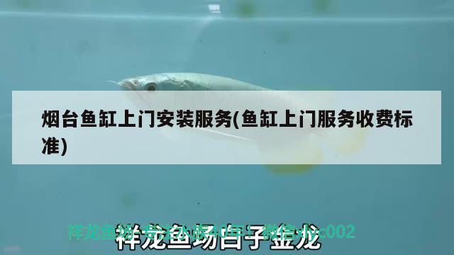 煙臺(tái)魚缸上門安裝服務(wù)(魚缸上門服務(wù)收費(fèi)標(biāo)準(zhǔn)) 喂食器