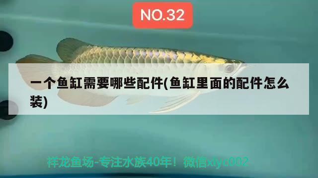 一個魚缸需要哪些配件(魚缸里面的配件怎么裝) 麥肯斯銀版魚