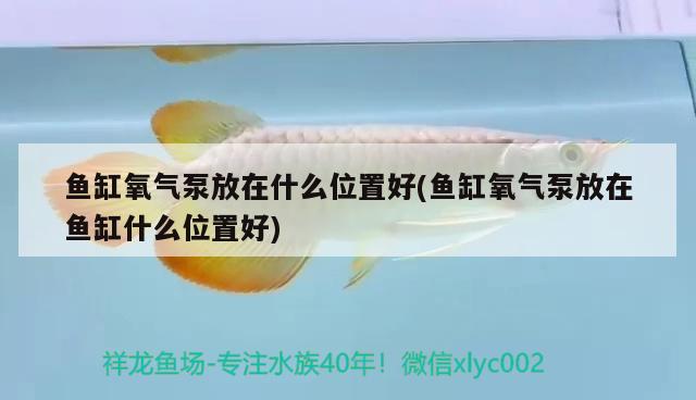 魚缸氧氣泵放在什么位置好(魚缸氧氣泵放在魚缸什么位置好) 野彩魚