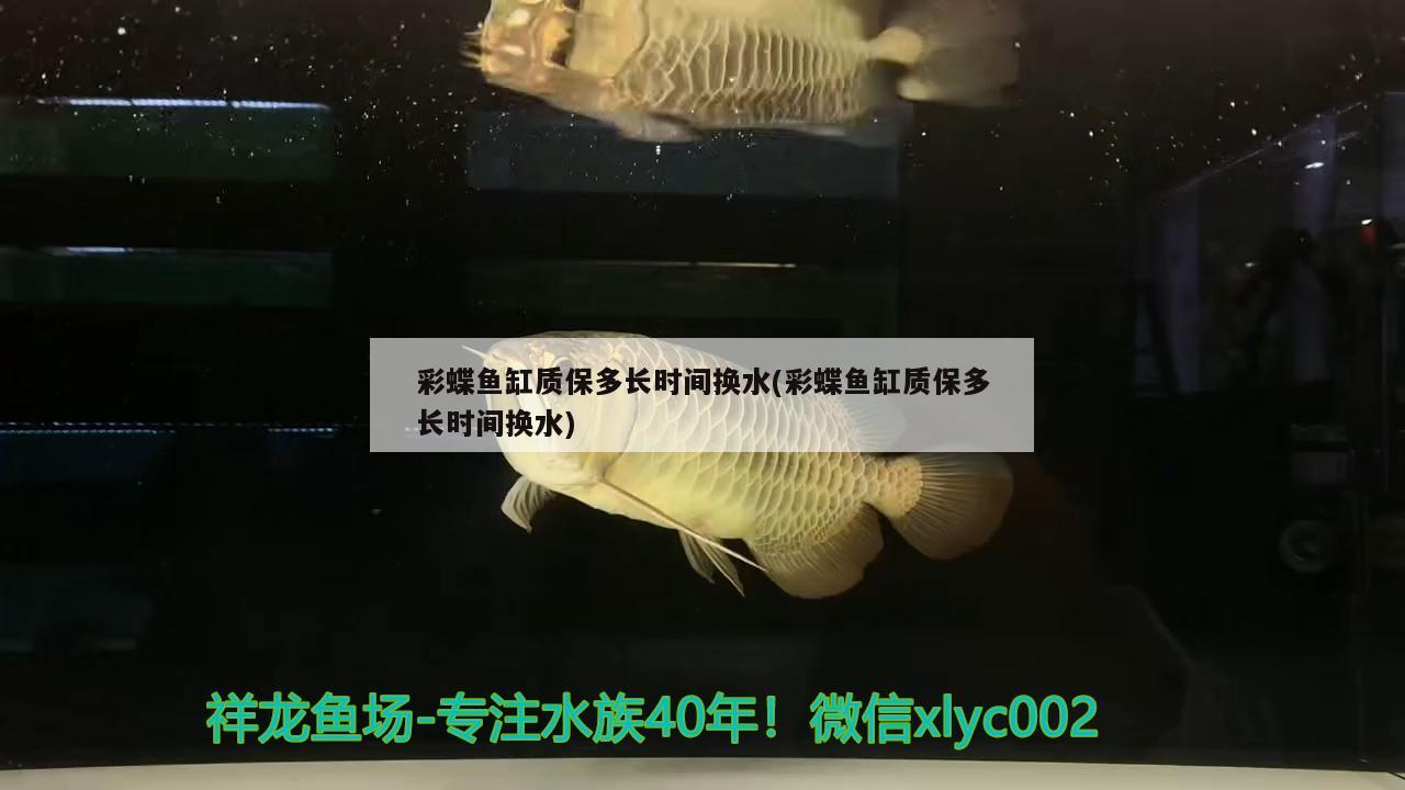 彩蝶魚缸質(zhì)保多長(zhǎng)時(shí)間換水(彩蝶魚缸質(zhì)保多長(zhǎng)時(shí)間換水) 潛水泵