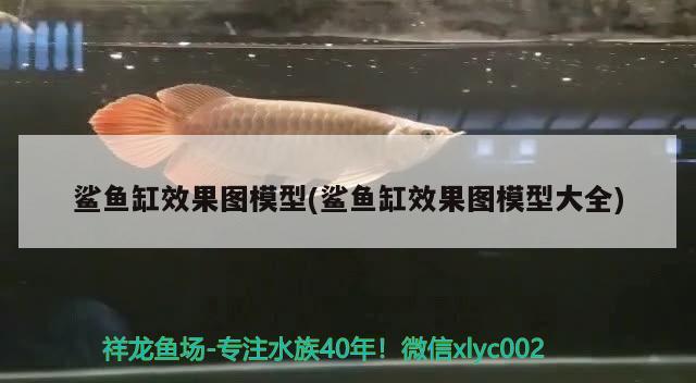 鯊魚缸效果圖模型(鯊魚缸效果圖模型大全) 祥龍金禾金龍魚