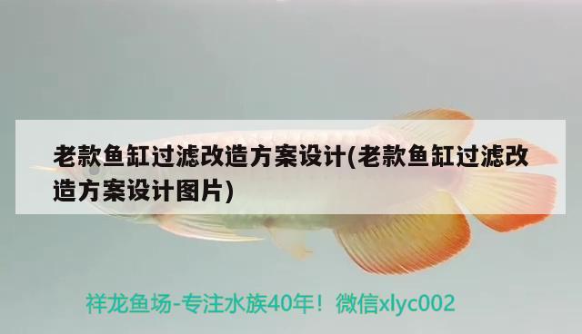 老款魚缸過濾改造方案設計(老款魚缸過濾改造方案設計圖片) 委內(nèi)瑞拉奧里諾三間魚