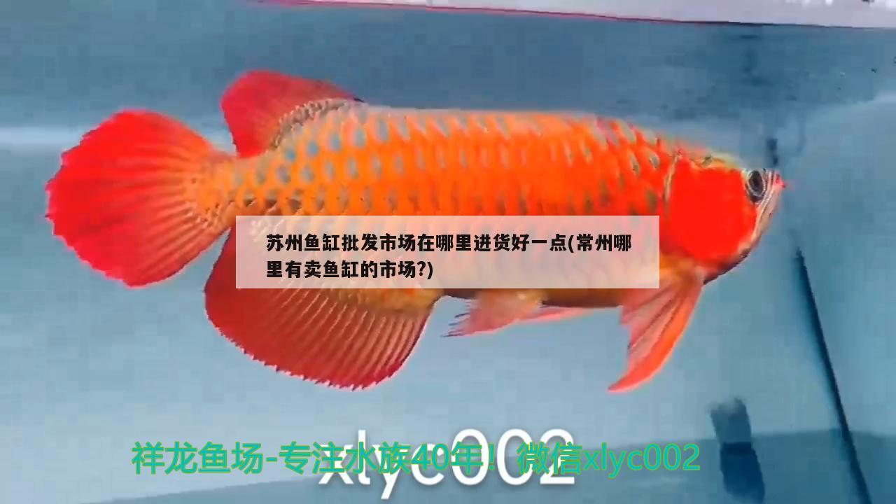 蘇州魚缸批發(fā)市場在哪里進貨好一點(常州哪里有賣魚缸的市場？)