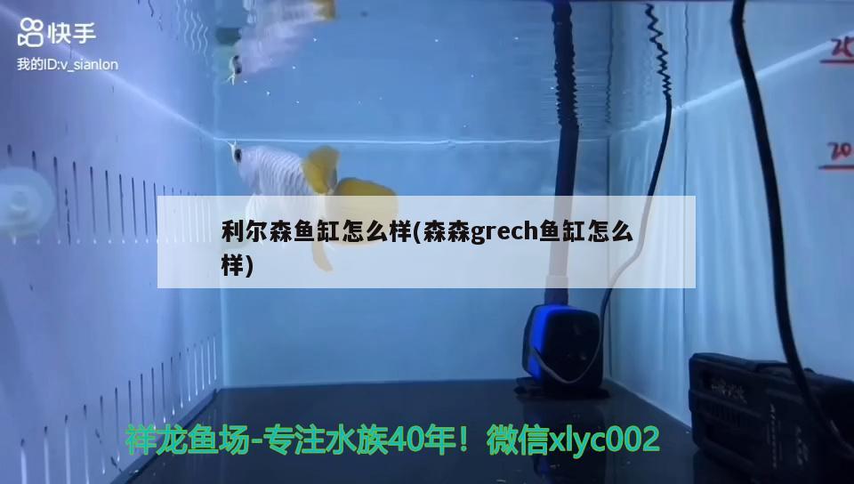 利爾森魚缸怎么樣(森森grech魚缸怎么樣)