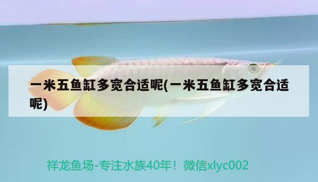 一米五魚缸多寬合適呢(一米五魚缸多寬合適呢) 充氧泵 第2張