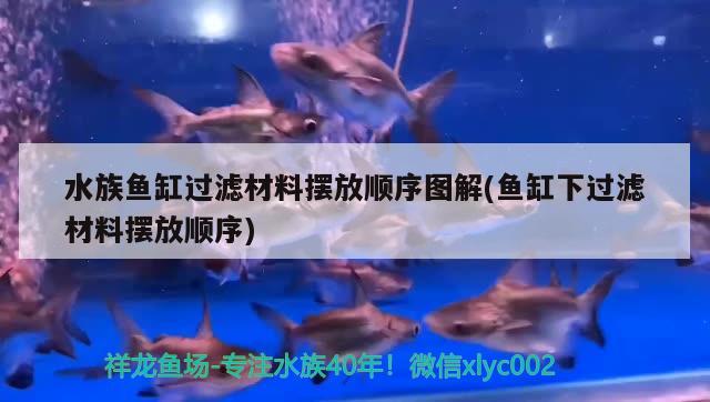 水族魚缸過濾材料擺放順序圖解(魚缸下過濾材料擺放順序) 帝王三間魚