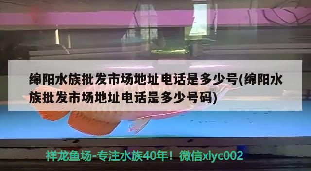 綿陽水族批發(fā)市場地址電話是多少號(綿陽水族批發(fā)市場地址電話是多少號碼) 觀賞魚水族批發(fā)市場