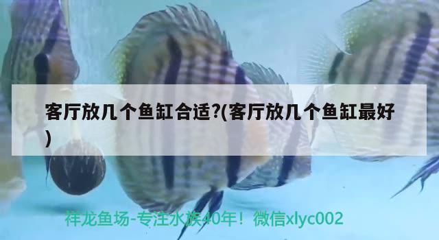 客廳放幾個魚缸合適?(客廳放幾個魚缸最好)