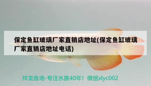 保定魚缸玻璃廠家直銷店地址(保定魚缸玻璃廠家直銷店地址電話)