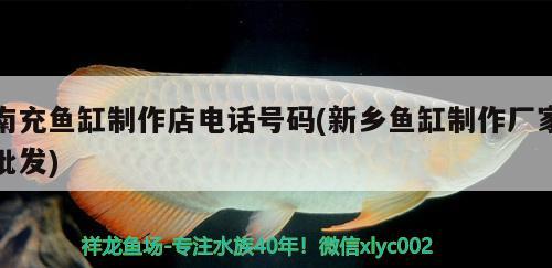 南充魚缸制作店電話號碼(新鄉(xiāng)魚缸制作廠家批發(fā)) 短身紅龍魚