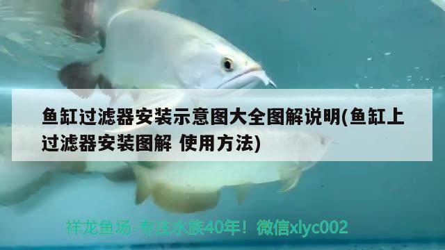 魚缸過濾器安裝示意圖大全圖解說明(魚缸上過濾器安裝圖解使用方法) 金龍魚糧