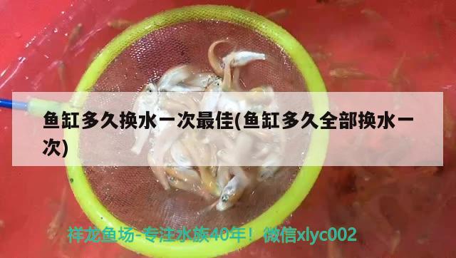 魚缸多久換水一次最佳(魚缸多久全部換水一次) 黃鰭鯧魚