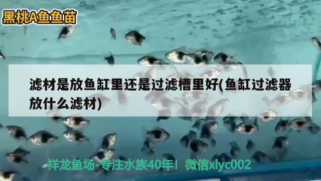 濾材是放魚缸里還是過(guò)濾槽里好(魚缸過(guò)濾器放什么濾材)