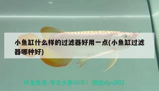 小魚缸什么樣的過濾器好用一點(小魚缸過濾器哪種好) 生態(tài)瓶/創(chuàng)意缸/桌面微景缸